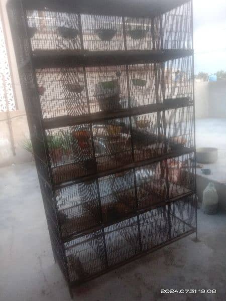 Full Step For sale Birds Cages urgent For Sell 4