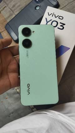 ViVo