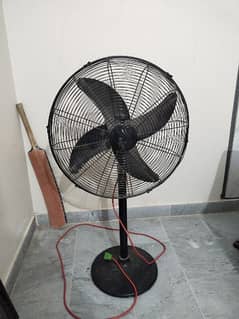 fan