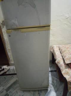 dowlace medium fridge