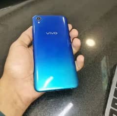 vivo