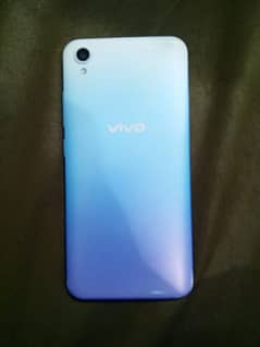 vivo