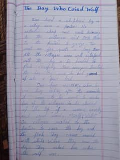 main professional Urdu English mein assignment likh sakta Hoon l