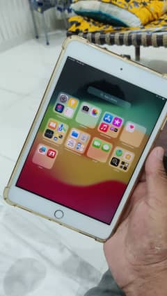 Ipad mini 5