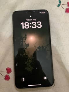 IPhone 11 Pro Max (512 GB)