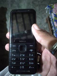 Nokia 3310 lush condition