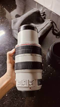 Canon EF 70-300mm