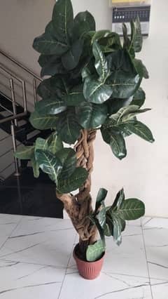 Artificial 2  Plants price 16000