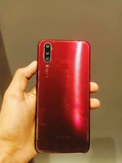 Vivo