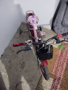 Kids Bicycle for Sale