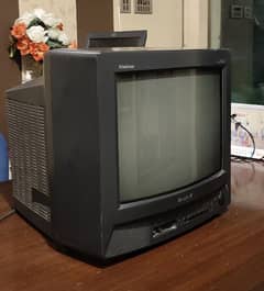 Television