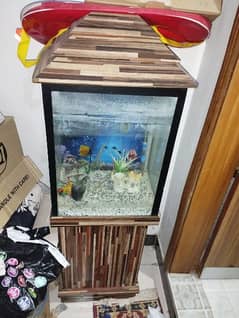 fish aquarium