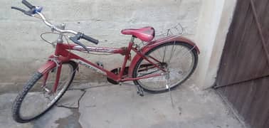 phonex bicycle