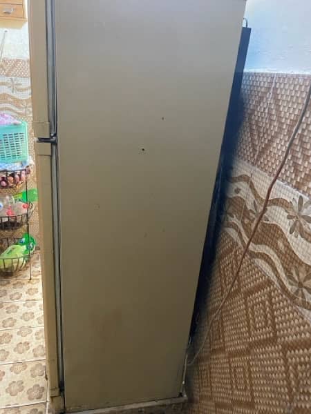 Pel Fridge For Sale 1