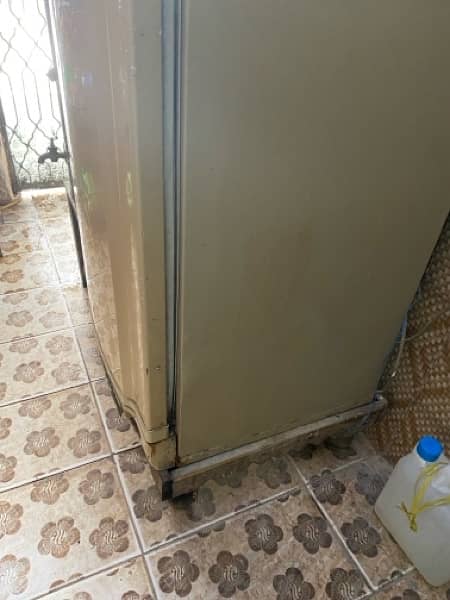 Pel Fridge For Sale 3