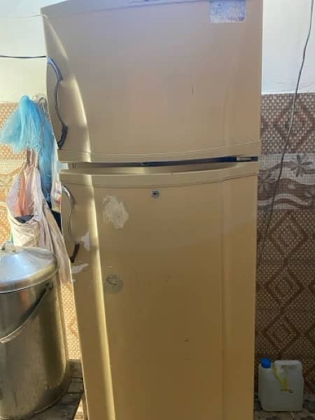 Pel Fridge For Sale 5