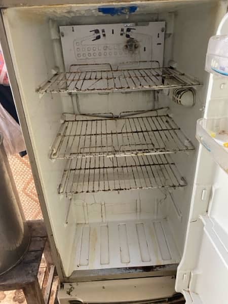 Pel Fridge For Sale 7