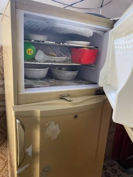 Pel Fridge For Sale 11