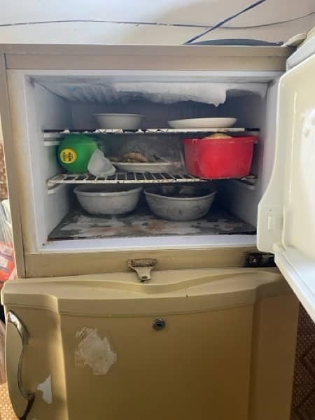 Pel Fridge For Sale 16