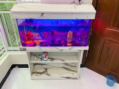 Selling Brand New Fish aquarium with 18 Fishes + Book shelf table