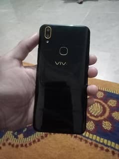 vivo