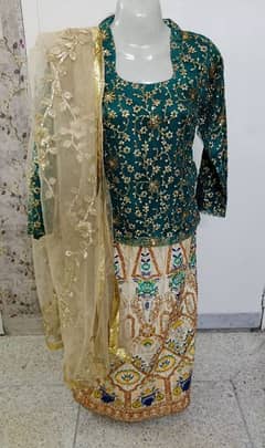 Beautiful Wedding dress/ party wear/mehndi/dholak