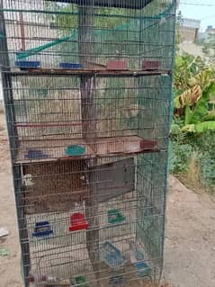 Birds Cages l Iron And Wood Cages
