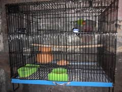 fish male and iron cage with all accessories for sale