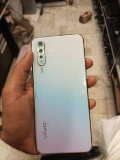 vivo