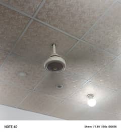 3 ceiling fan