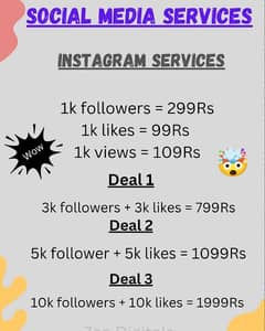 Facebook Instagram TikTok followers Organic Services Lifetime warranty