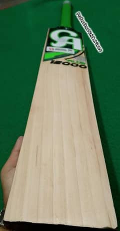 CA plus 12000 Cricket bat