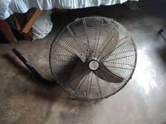 Fan