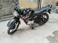 Yamaha Ybr G 2017 Rawalpindi number