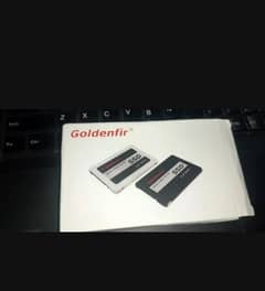 goldenfir