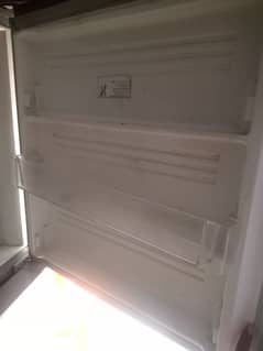 Pel High quality jumbo fridge