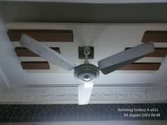 Celling Fan