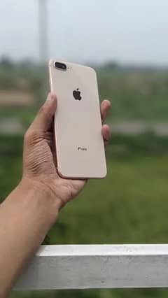 iphone 8plus offical pta approved exchange posible with  up modeliphon