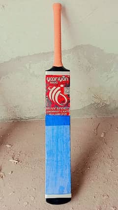 Cricket Bat