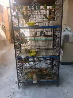 PARROT CAGE