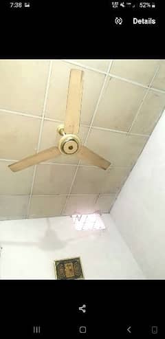 ceiling fan 56inch. 03004870960