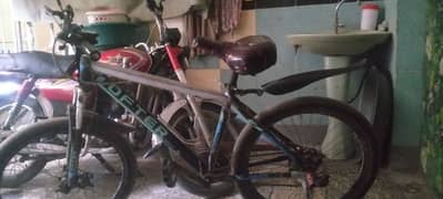 Cycle For Sale