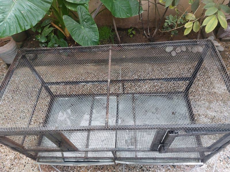 Iron Cage For Hens and Birds 1