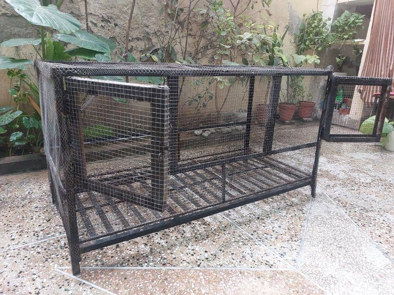 Iron Cage For Hens and Birds 4