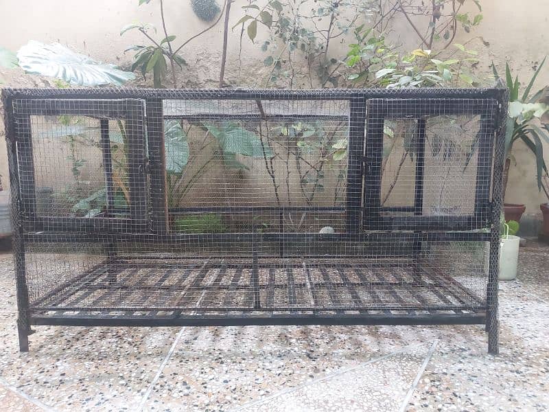 Iron Cage For Hens and Birds 7