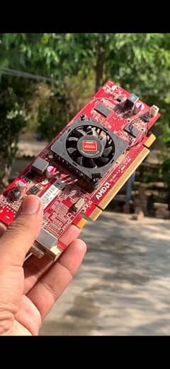 amd 1gb graphic card