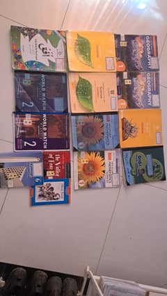 Roots MILLENIUM School books for Grade-6