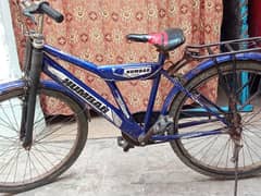 Cycle For Sale in Reasonable Price