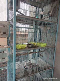 Cages | Birds Cage | iron cage  | Parrots Cage | Available