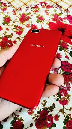 oppo